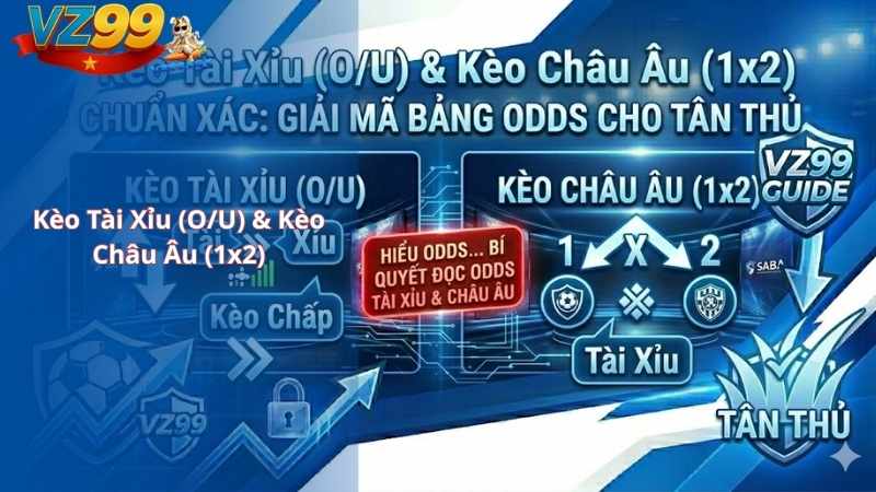 Hướng Dẫn Cách Đọc Kèo Bóng Đá VZ99 Chuẩn Xác: Giải Mã Bảng Odds Cho Tân Thủ Kèo Tài Xỉu (O/U) & Kèo Châu Âu (1x2)